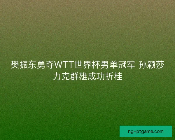 樊振东勇夺WTT世界杯男单冠军 孙颖莎力克群雄成功折桂